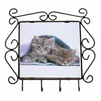 Kittens Under Blanket Wrought Iron Key Holder Hooks