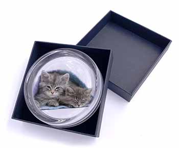 Kittens Under Blanket Glass Paperweight in Gift Box