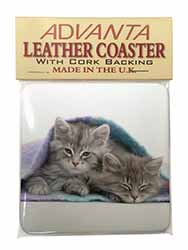 Kittens Under Blanket Single Leather Photo Coaster