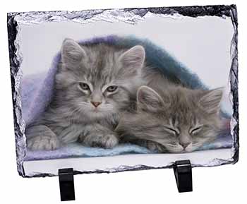 Kittens Under Blanket, Stunning Photo Slate