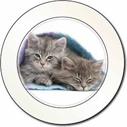 Kittens Under Blanket Car or Van Permit Holder/Tax Disc Holder