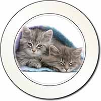 Kittens Under Blanket Car or Van Permit Holder/Tax Disc Holder