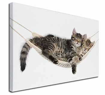 Kittens in Hammock Canvas X-Large 30"x20" Wall Art Print