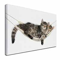 Kittens in Hammock Canvas X-Large 30"x20" Wall Art Print