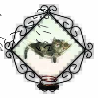 Kittens in Hammock Wrought Iron Wall Art Candle Holder
