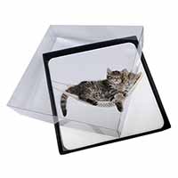 4x Kittens in Hammock Picture Table Coasters Set in Gift Box