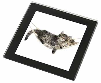 Kittens in Hammock Black Rim High Quality Glass Coaster