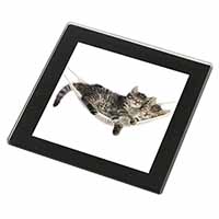Kittens in Hammock Black Rim High Quality Glass Coaster
