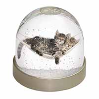 Kittens in Hammock Snow Globe Photo Waterball