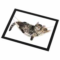 Kittens in Hammock Black Rim High Quality Glass Placemat