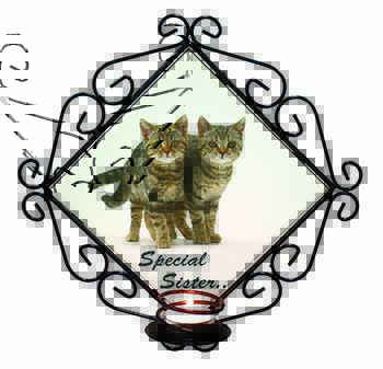 Tabby Kittens 