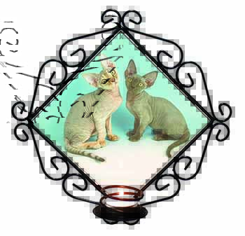 Devon Rex Cats Wrought Iron Wall Art Candle Holder