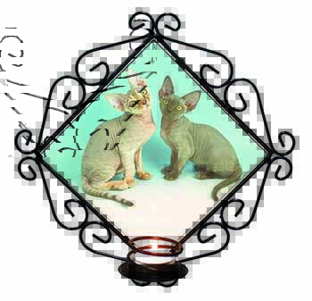 Devon Rex Cats Wrought Iron Wall Art Candle Holder