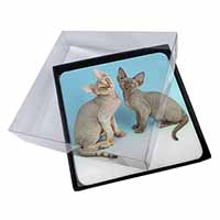 4x Devon Rex Cats Picture Table Coasters Set in Gift Box