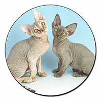 Devon Rex Cats Fridge Magnet Printed Full Colour