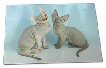 Large Glass Cutting Chopping Board Devon Rex Cats