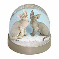 Devon Rex Cats Snow Globe Photo Waterball