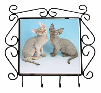 Devon Rex Cats Wrought Iron Key Holder Hooks