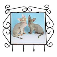 Devon Rex Cats Wrought Iron Key Holder Hooks