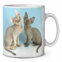 Devon Rex Cats Ceramic 10oz Coffee Mug/Tea Cup