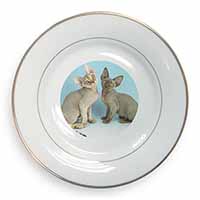 Devon Rex Cats Gold Rim Plate Printed Full Colour in Gift Box