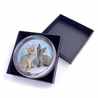 Devon Rex Cats Glass Paperweight in Gift Box