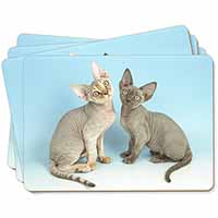 Devon Rex Cats Picture Placemats in Gift Box