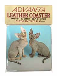 Devon Rex Cats Single Leather Photo Coaster