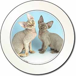 Devon Rex Cats Car or Van Permit Holder/Tax Disc Holder
