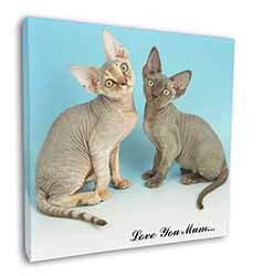 Devon Rex Cats 