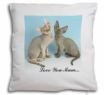 Devon Rex Cats 