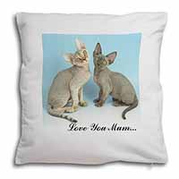 Devon Rex Cats 