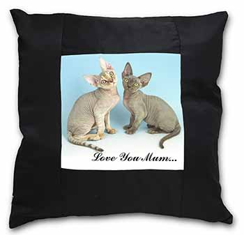 Devon Rex Cats 