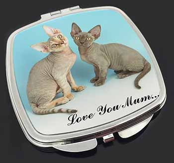 Devon Rex Cats 