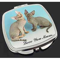 Devon Rex Cats 