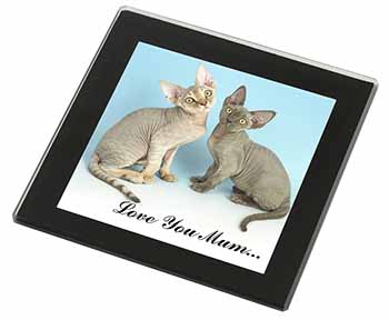 Devon Rex Cats 