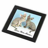 Devon Rex Cats 