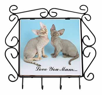 Devon Rex Cats 