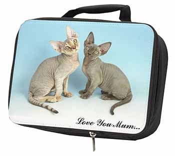 Devon Rex Cats 