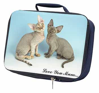 Devon Rex Cats 