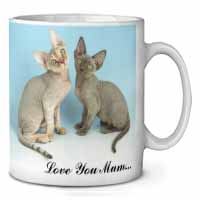 Devon Rex Cats 