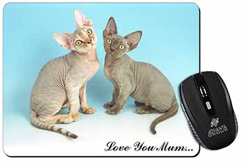 Devon Rex Cats 