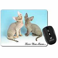 Devon Rex Cats 