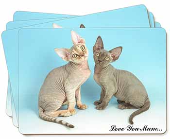 Devon Rex Cats 