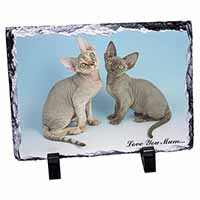 Devon Rex Cats 