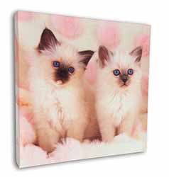 Birman Cat Kittens Square Canvas 12"x12" Wall Art Picture Print