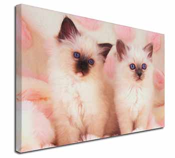 Birman Cat Kittens Canvas X-Large 30"x20" Wall Art Print