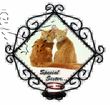 Ginger Kittens 