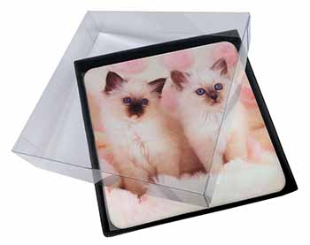 4x Birman Cat Kittens Picture Table Coasters Set in Gift Box