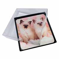 4x Birman Cat Kittens Picture Table Coasters Set in Gift Box